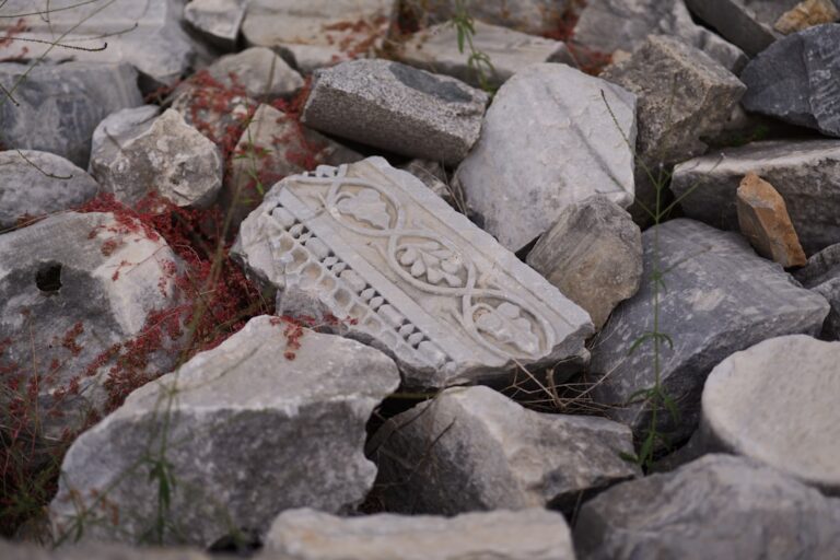 a close up of a rock with a plant growing out of it