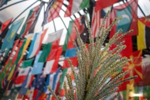 Grain displayed under national flags at FAO Headquarters in Rome.