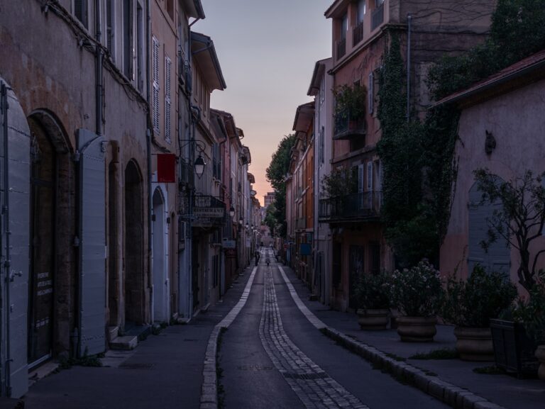 a narrow street lined with buildings and potted plants
