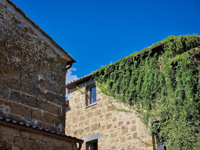 Historic Buildings Embraced by Greenery in the City of Rome