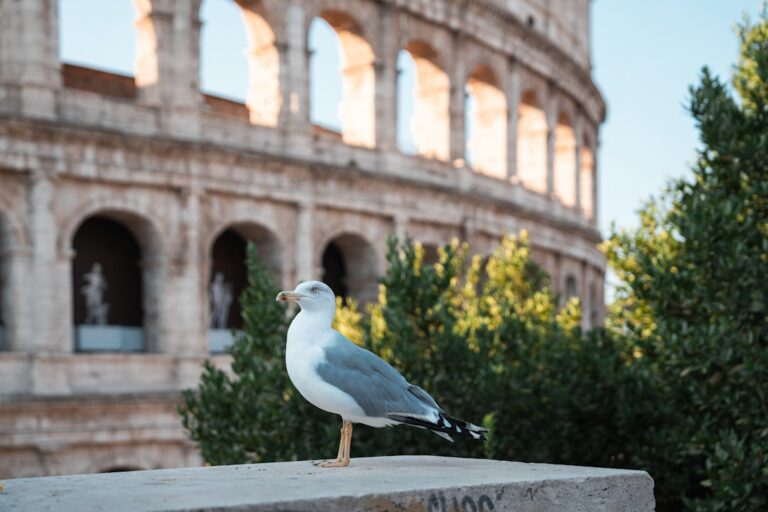 A seagull sitting on a monument in front of a building